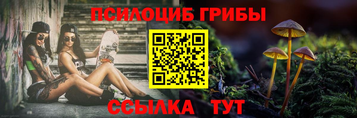 Галлюциногенные грибы ЛСД  Галлюциногенные грибы Cubensis  Тавда  Вход с VPN 