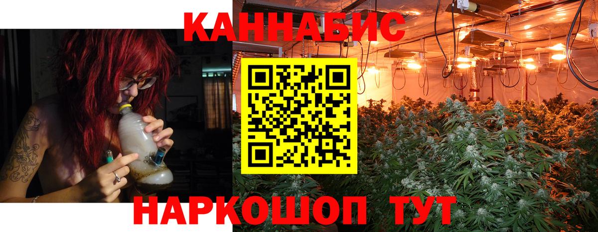 Бошки Шишки LSD WEED  Бошки Шишки план  Тавда  Марихуана Ganja  Канабис White Widow  Вход с VPN 